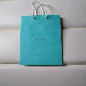 Tiffany & Co. Small shopping bag